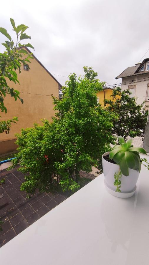 Mona Blue Apartment ซาราเยโว ภายนอก รูปภาพ